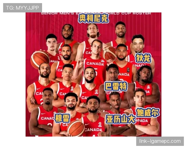 加拿大队世界杯主力阵容预测